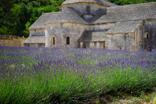 Les AOP et IGP en Provence